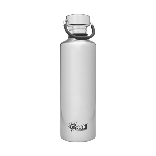 600ML CLASSIC INSULATED BOTTLE - SILVER